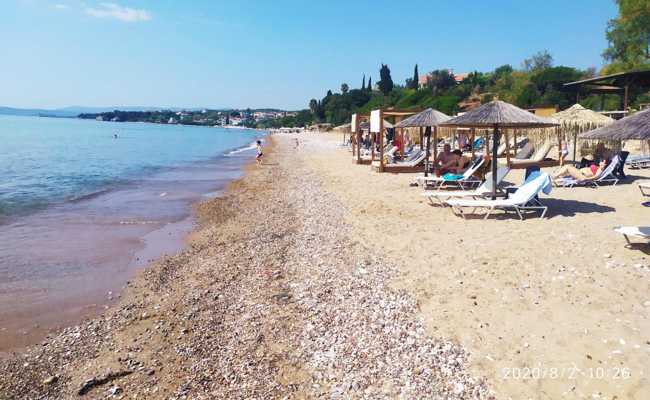 Paralia Chrani'in fotoğrafı bej kum ve çakıl yüzey ile