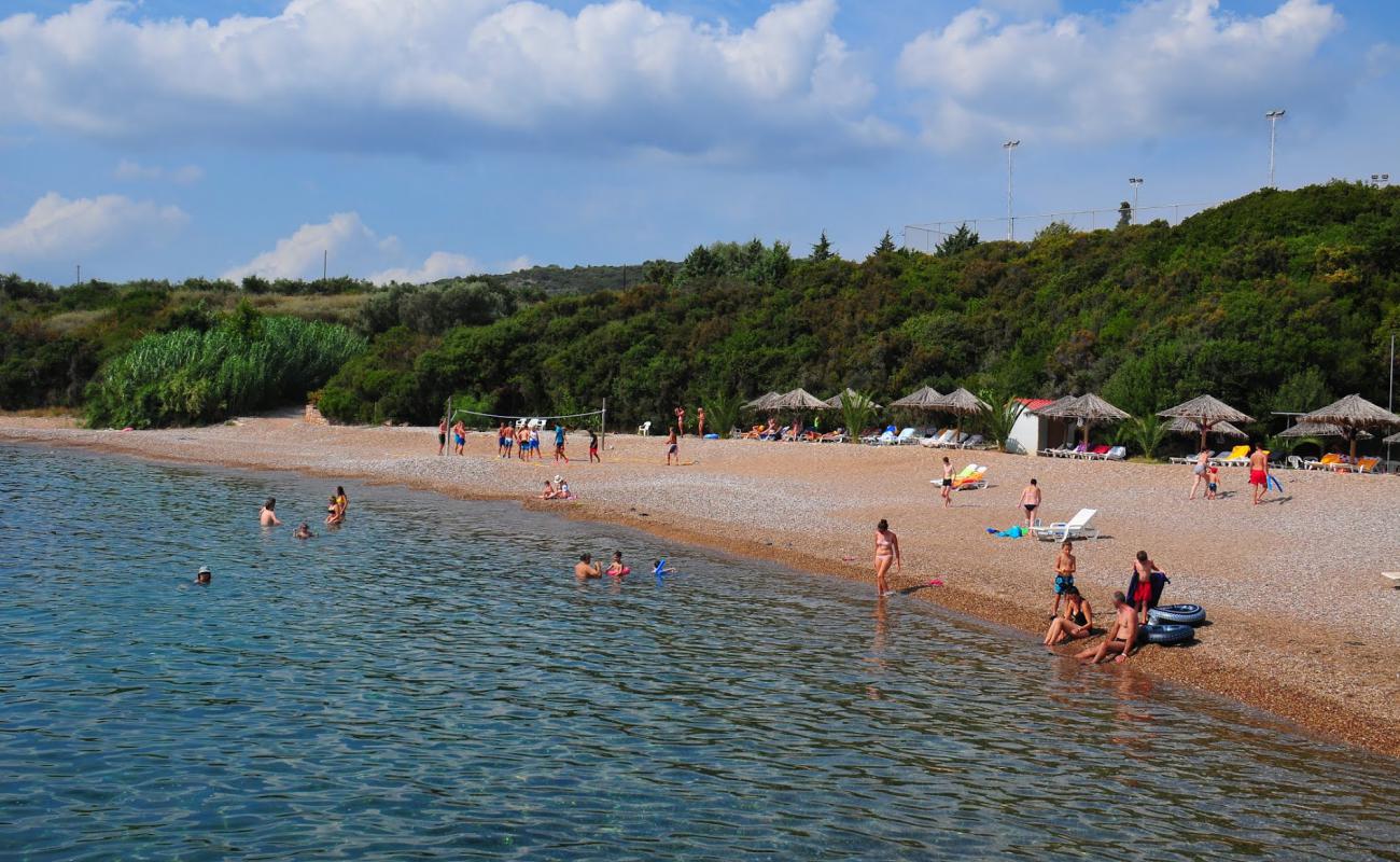 Sunrise village beach'in fotoğrafı gri ince çakıl taş yüzey ile