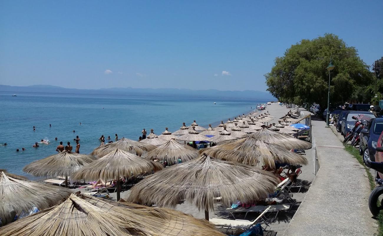 Sadova beach'in fotoğrafı gri kum yüzey ile