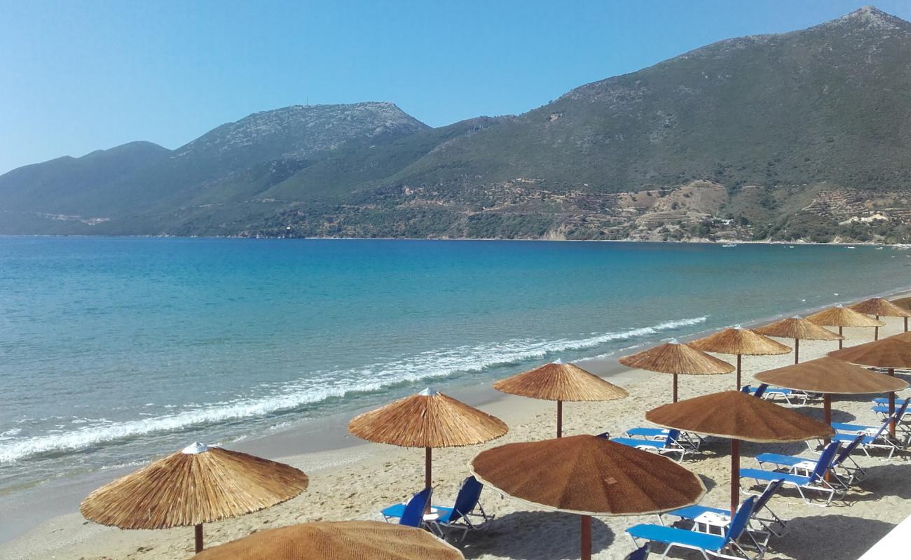 Straws beach'in fotoğrafı parlak kum yüzey ile