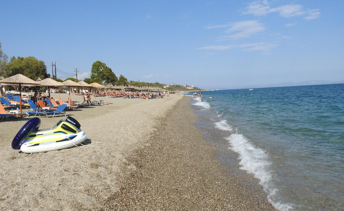 Montenegro beach'in fotoğrafı açık bej kum yüzey ile