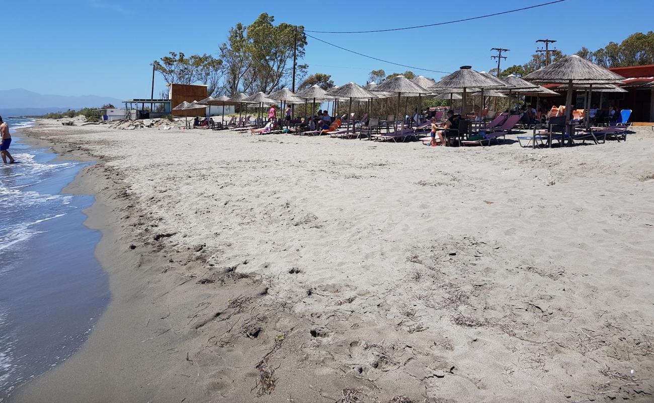 Blue Coast beach'in fotoğrafı kahverengi kum yüzey ile