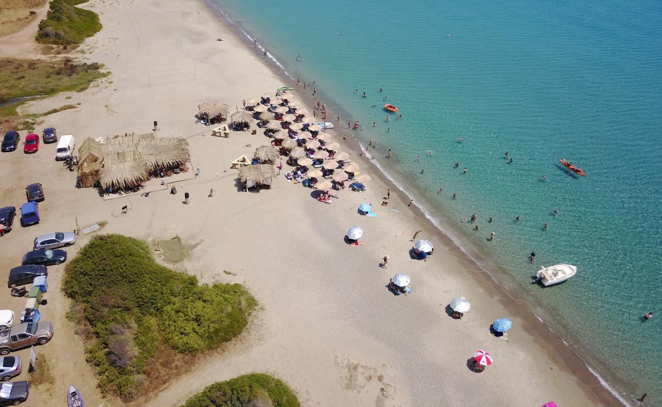 Maganos beach'in fotoğrafı parlak ince kum yüzey ile