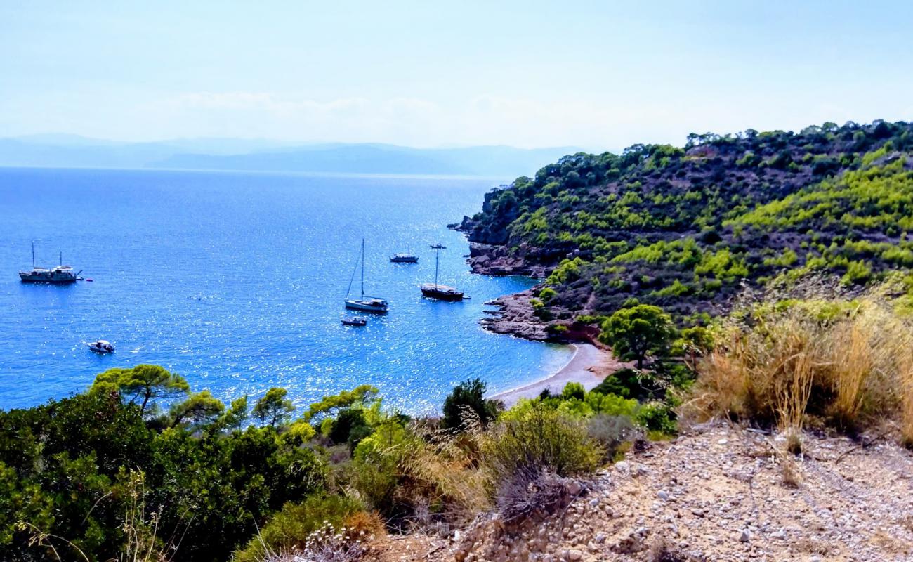 Leonidio beach'in fotoğrafı geniş bir kıyı şeridi ile birlikte