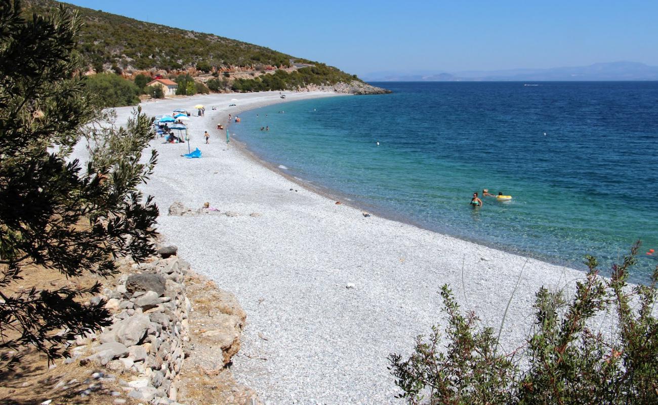 Tserfos beach'in fotoğrafı hafif çakıl yüzey ile