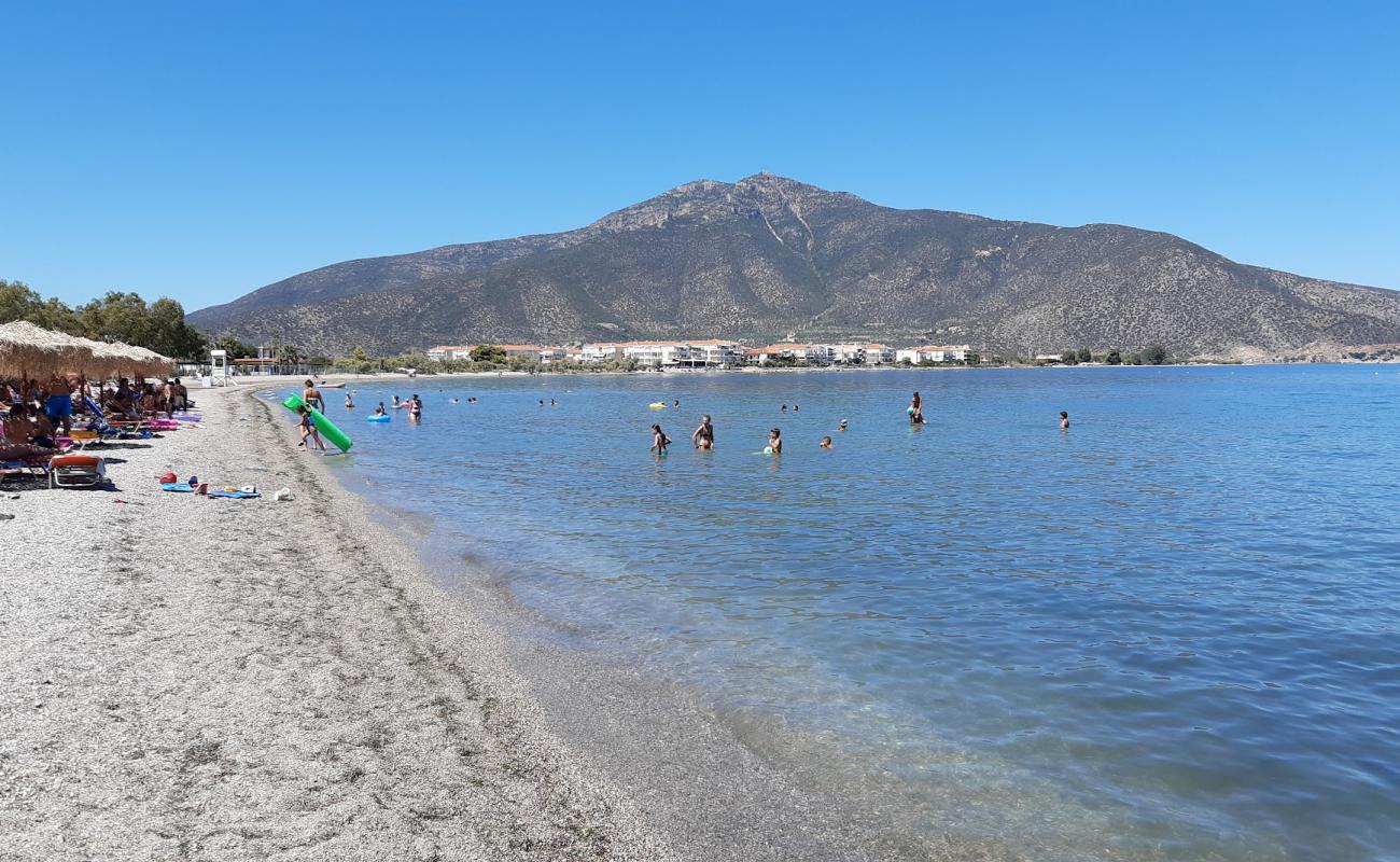 Paralia Atsigganos'in fotoğrafı küçük bej çakıl yüzey ile
