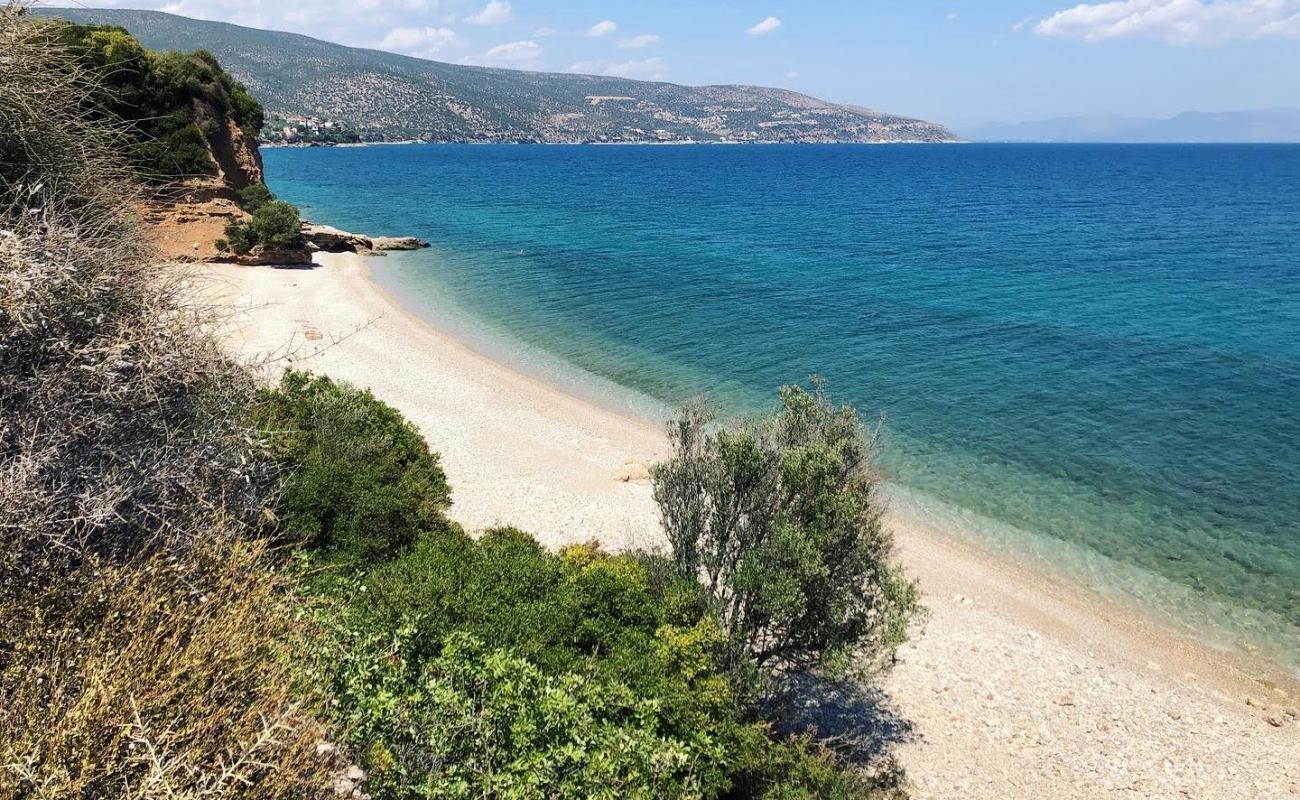 Tapia beach'in fotoğrafı kahverengi çakıl yüzey ile