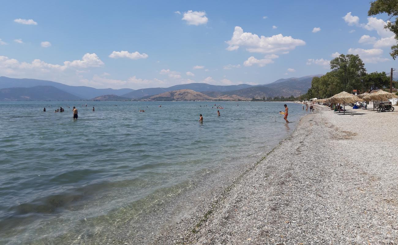 Paralia Timeniou'in fotoğrafı hafif çakıl yüzey ile