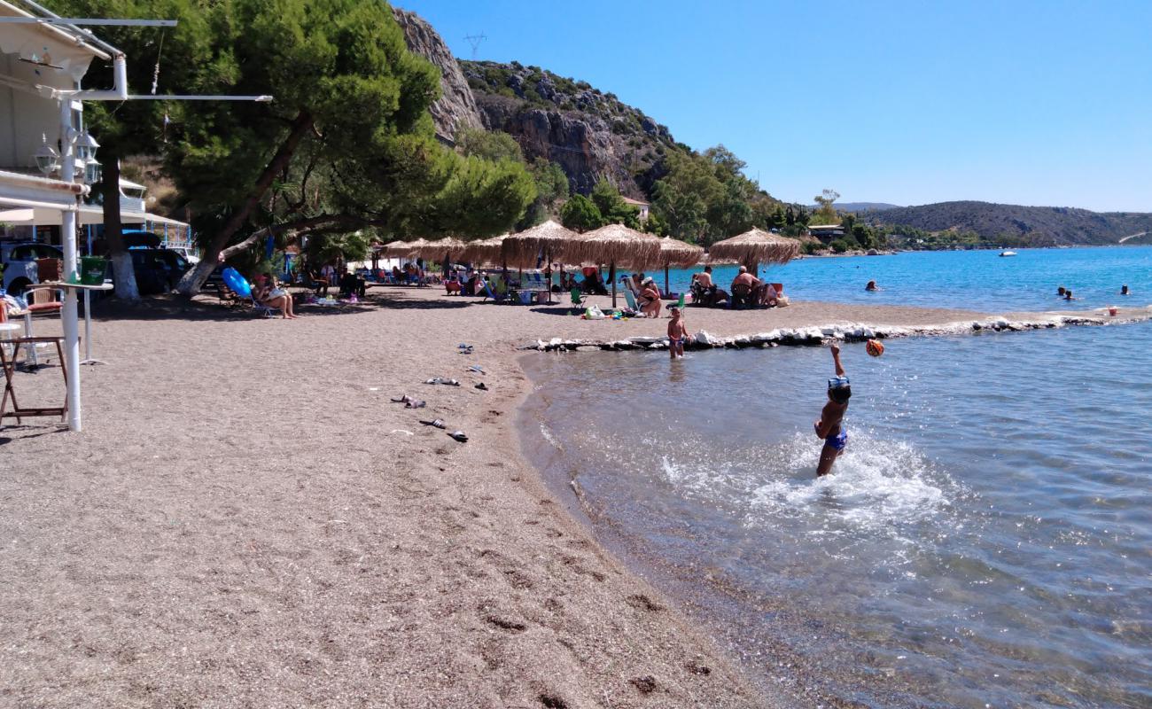 Paralia Vivariou'in fotoğrafı küçük kahverengi çakıllar yüzey ile