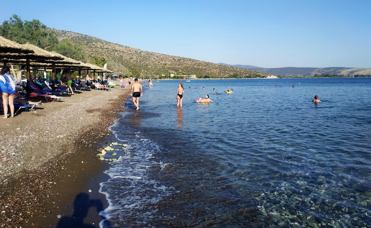 Paralia Kantias'in fotoğrafı siyah kum ve çakıllar yüzey ile