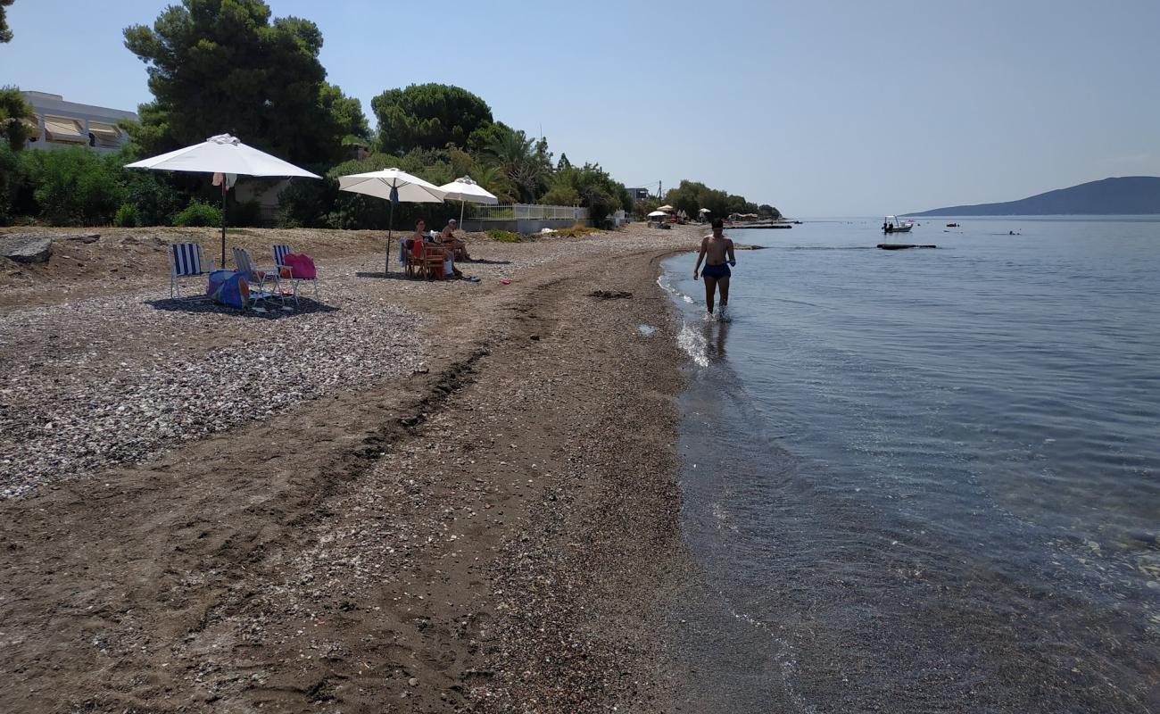 IRIA BEACH'in fotoğrafı siyah kum ve çakıllar yüzey ile