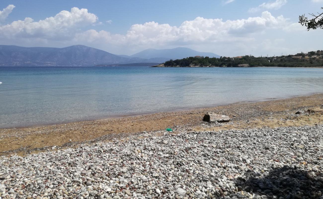 Thini beach II'in fotoğrafı geniş ile birlikte