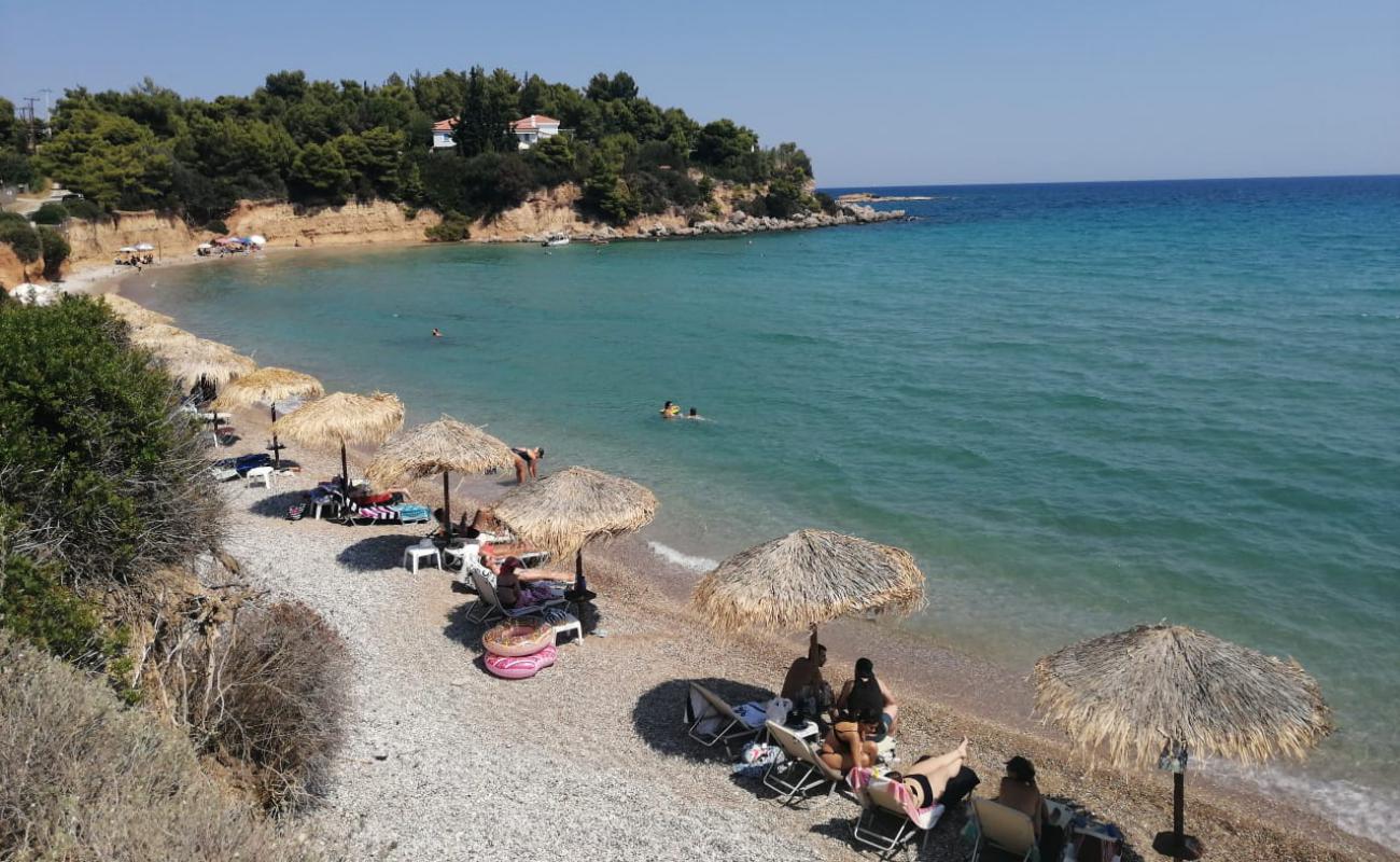 Chrysi Akti beach'in fotoğrafı küçük bej çakıl yüzey ile