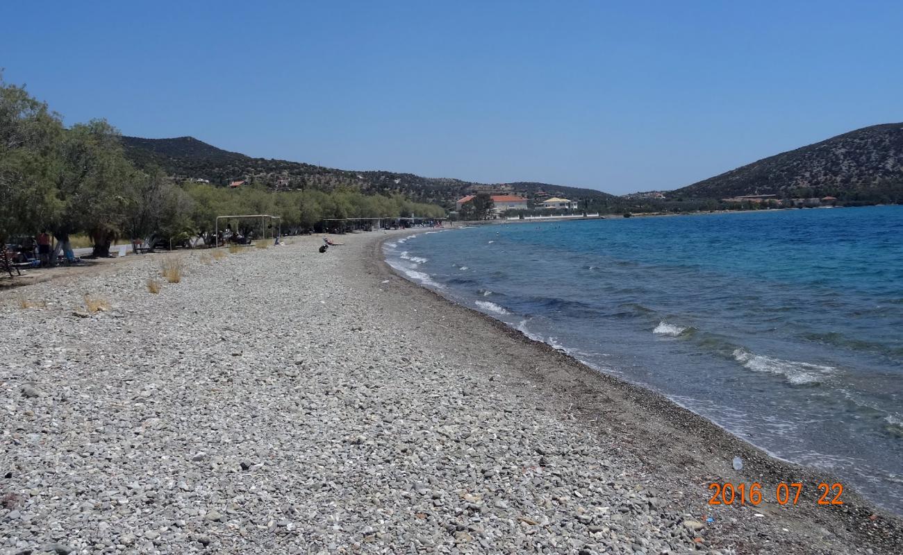 Dardiza beach'in fotoğrafı çakıl ile kum yüzey ile