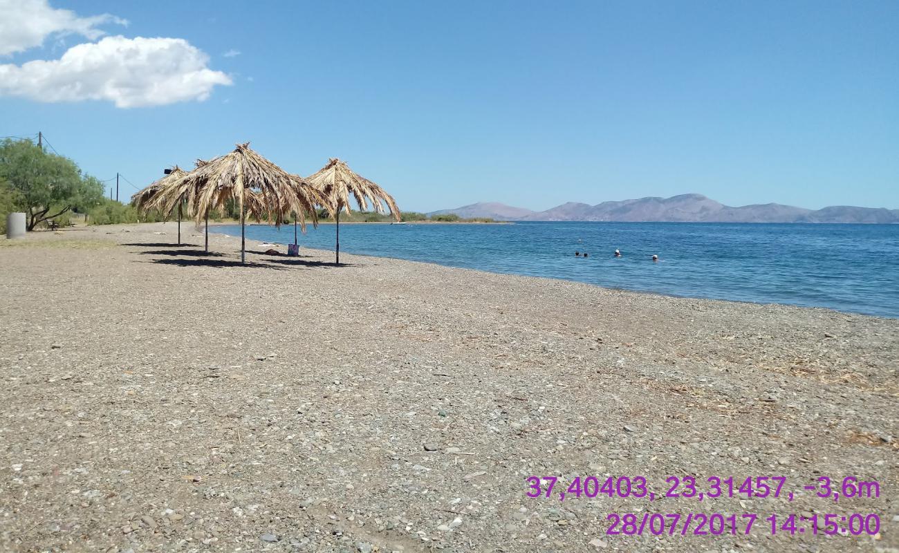 Limni Thermisia beach'in fotoğrafı bej kum ve çakıl yüzey ile