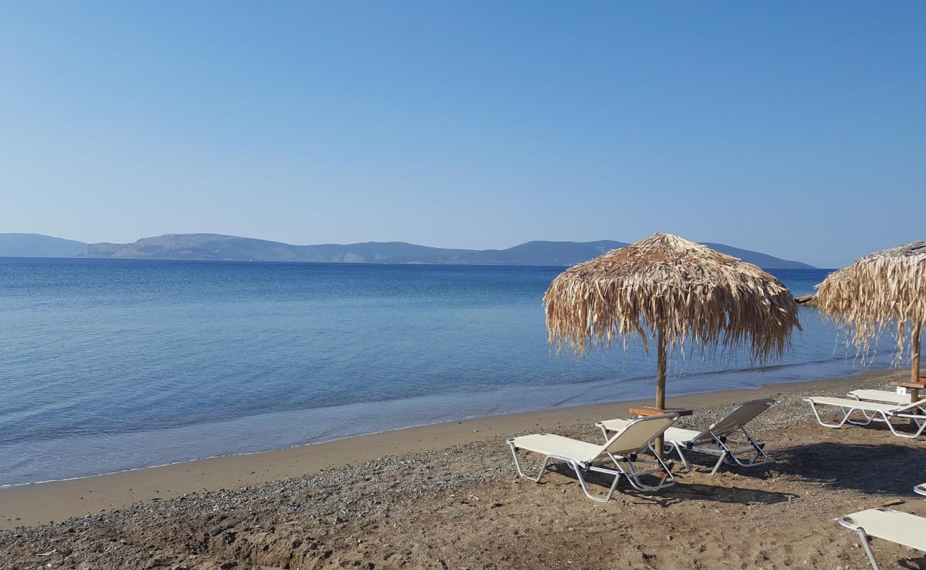 Makis beach'in fotoğrafı açık bej kum yüzey ile
