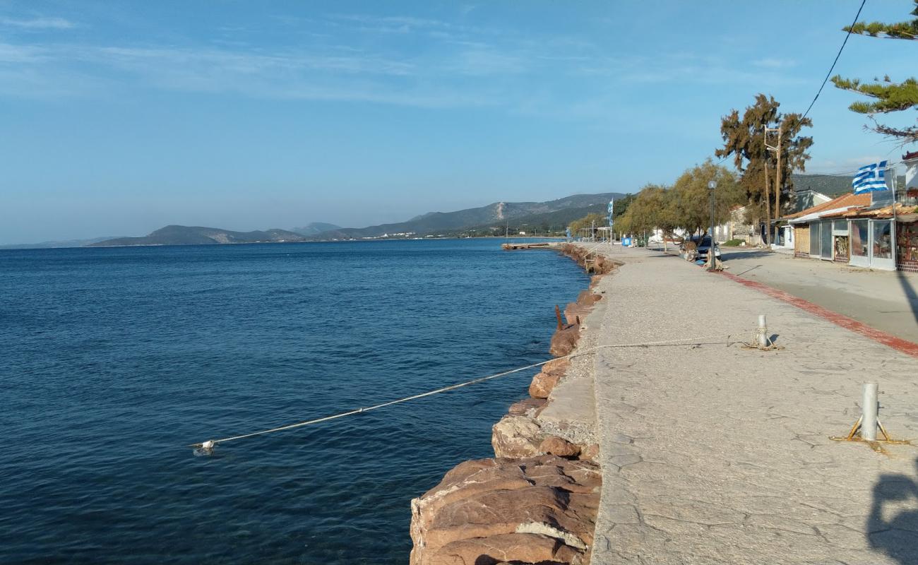 Pigadia beach'in fotoğrafı beton kaplı yüzey yüzey ile