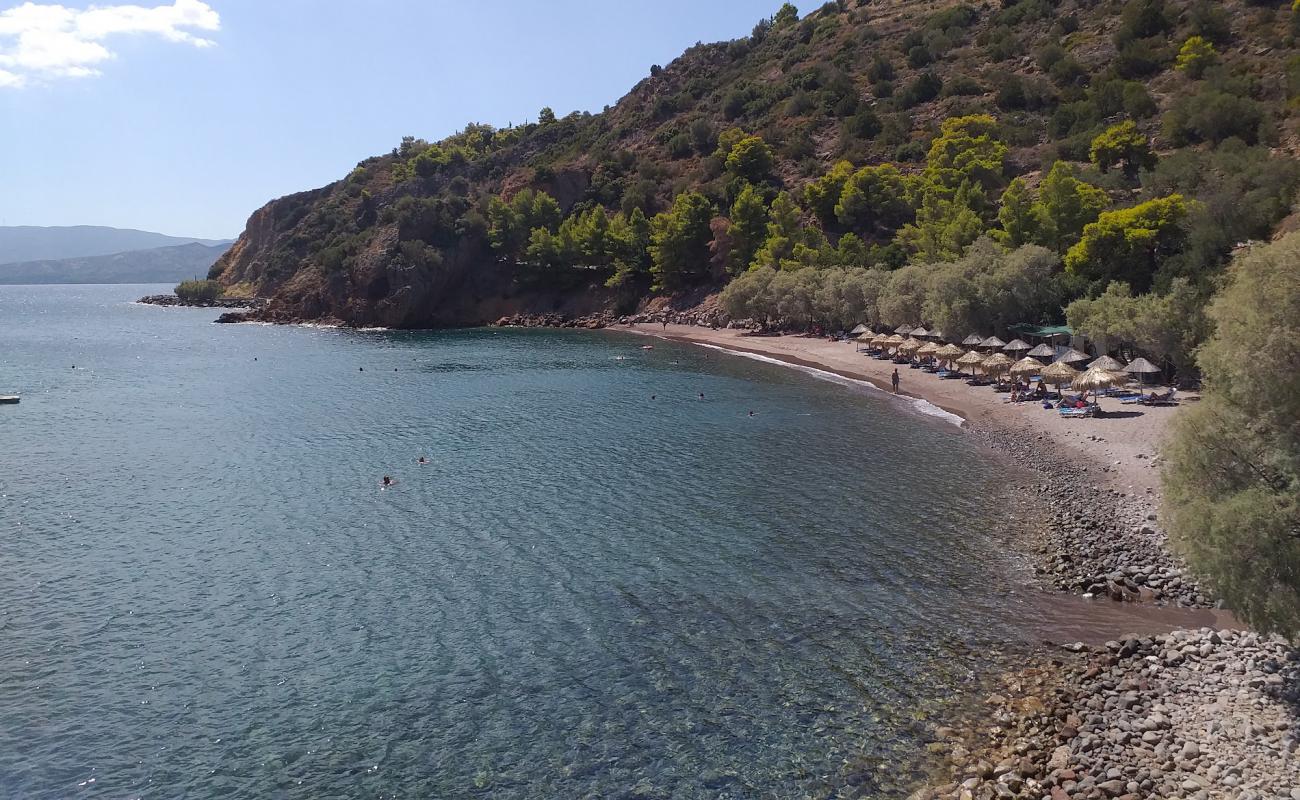 Paralia Limnionas'in fotoğrafı çakıl ile kum yüzey ile