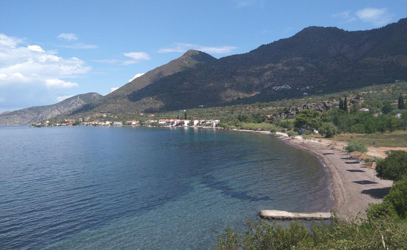 Almyra beach'in fotoğrafı hafif çakıl yüzey ile