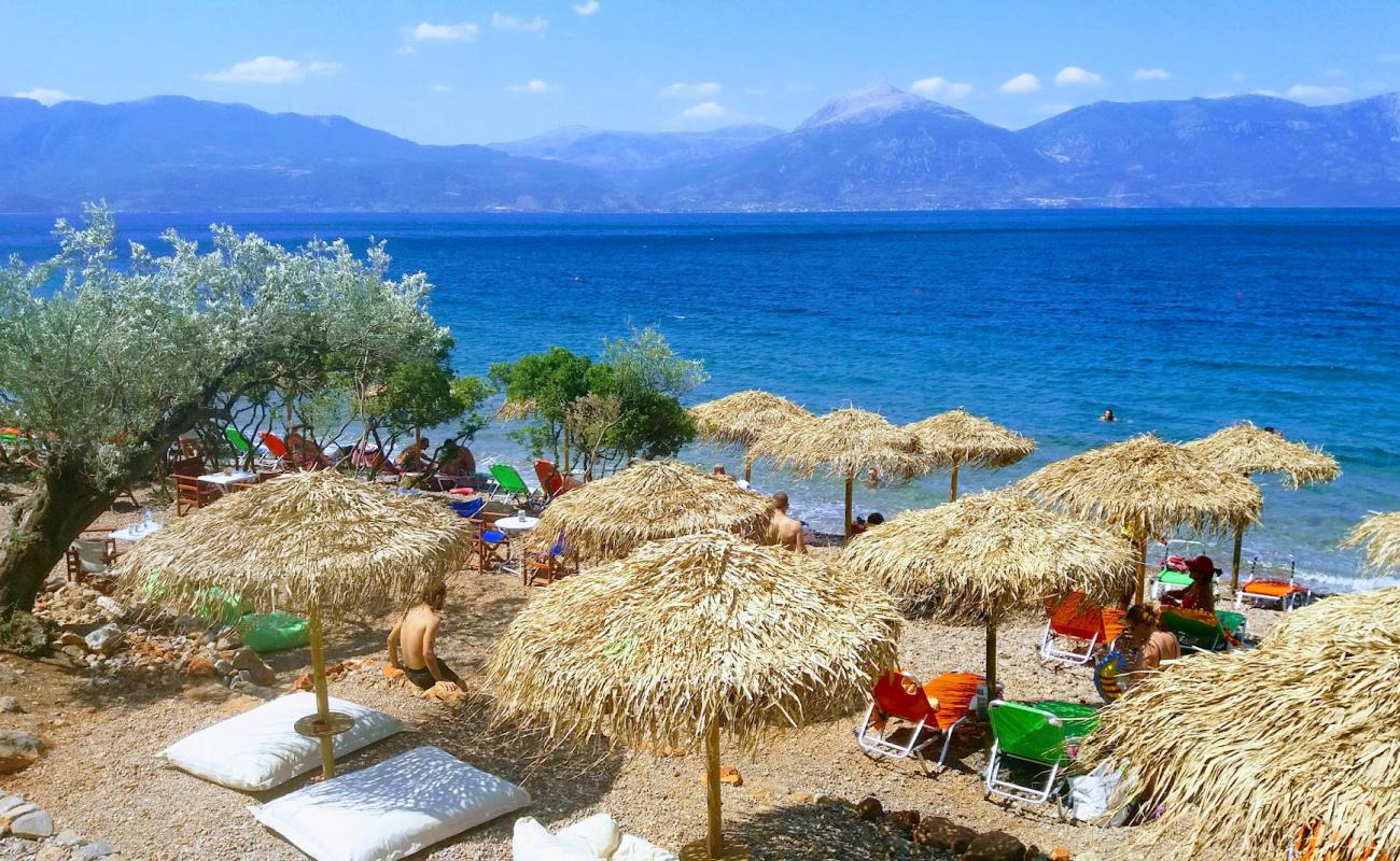 Almyra beach II'in fotoğrafı hafif çakıl yüzey ile