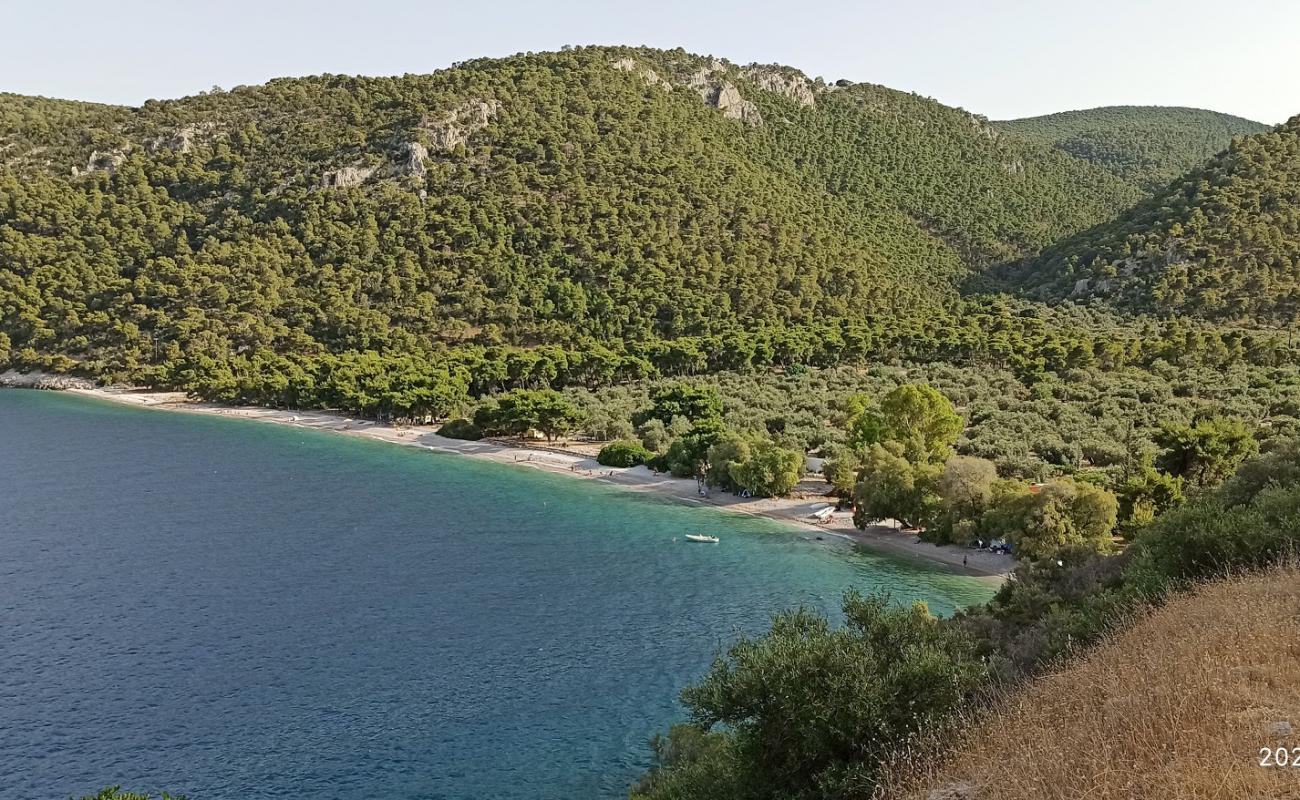 Paralia Sofikou'in fotoğrafı bej çakıl yüzey ile