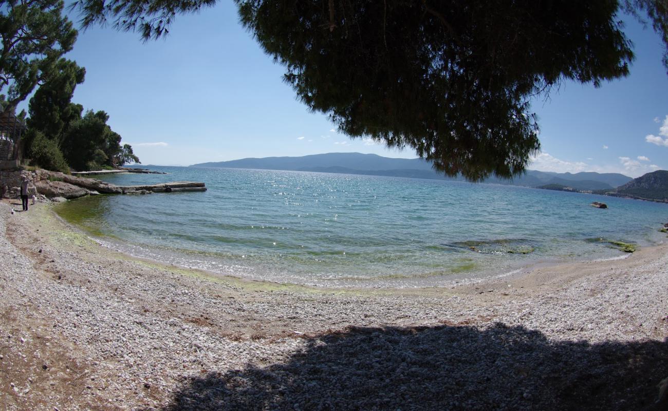 Paralia Kechrion II'in fotoğrafı çakıl ile kum yüzey ile