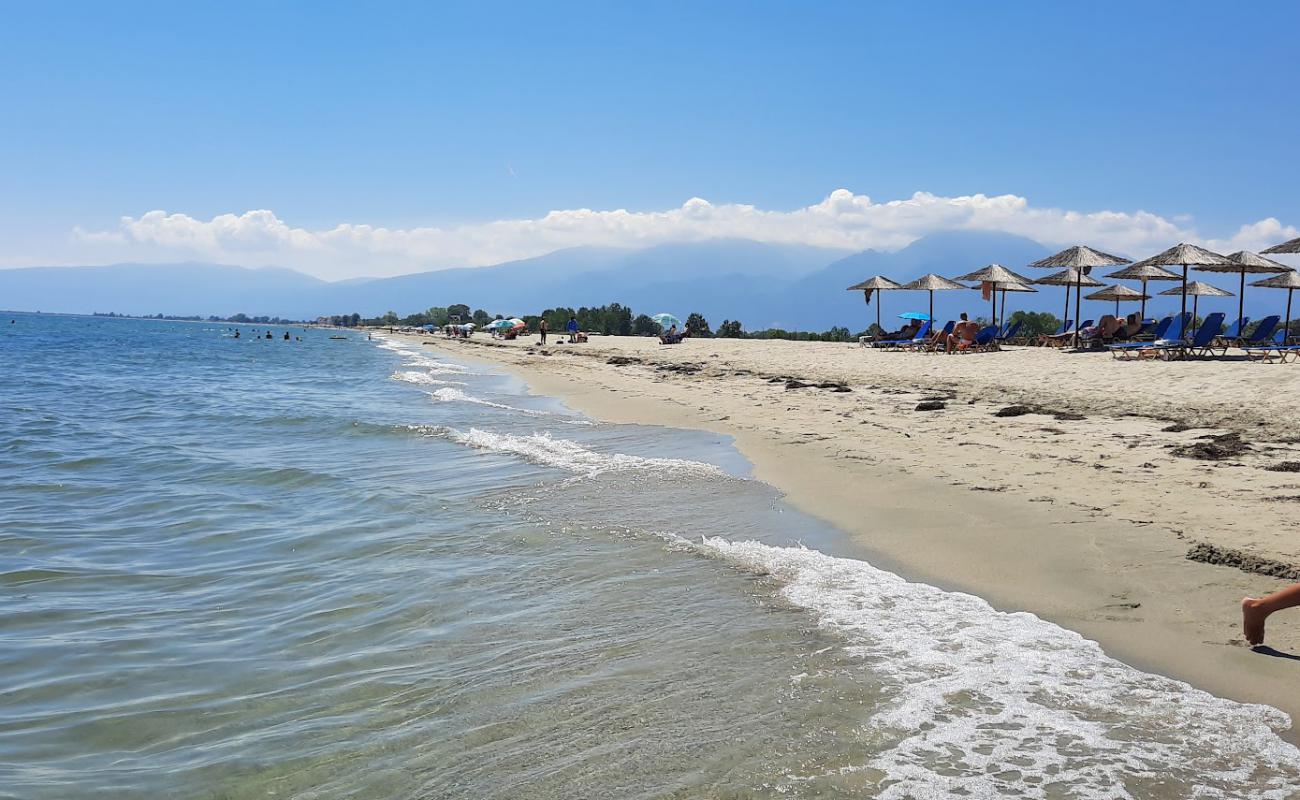 Olympic Bay'in fotoğrafı açık bej kum yüzey ile