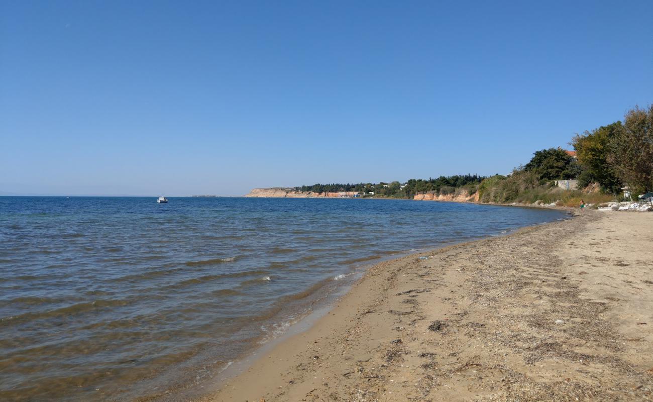 Nea Michiona beach'in fotoğrafı siyah kum ve çakıllar yüzey ile