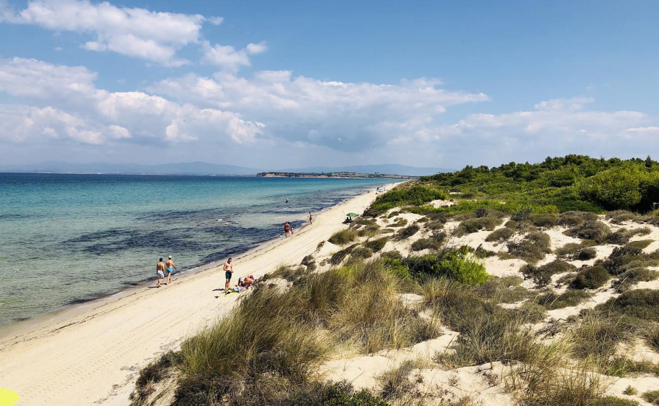 Stavronikita beach'in fotoğrafı i̇nce beyaz kum yüzey ile