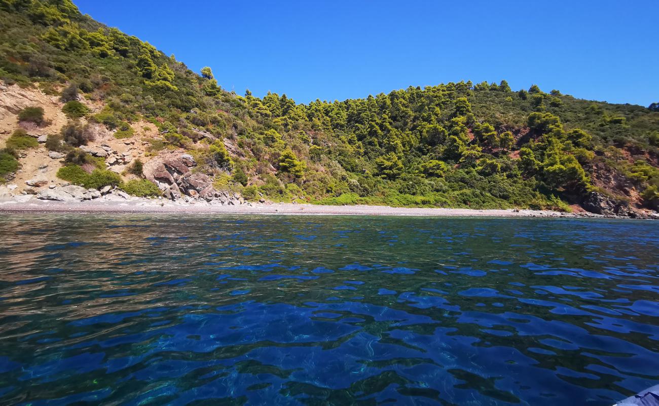 Wild Boar bay'in fotoğrafı hafif çakıl yüzey ile