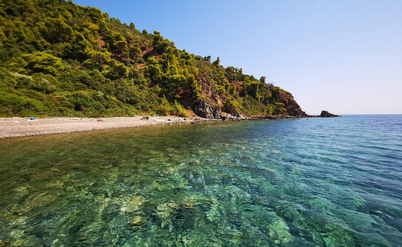 Anchor Bay'in fotoğrafı hafif çakıl yüzey ile