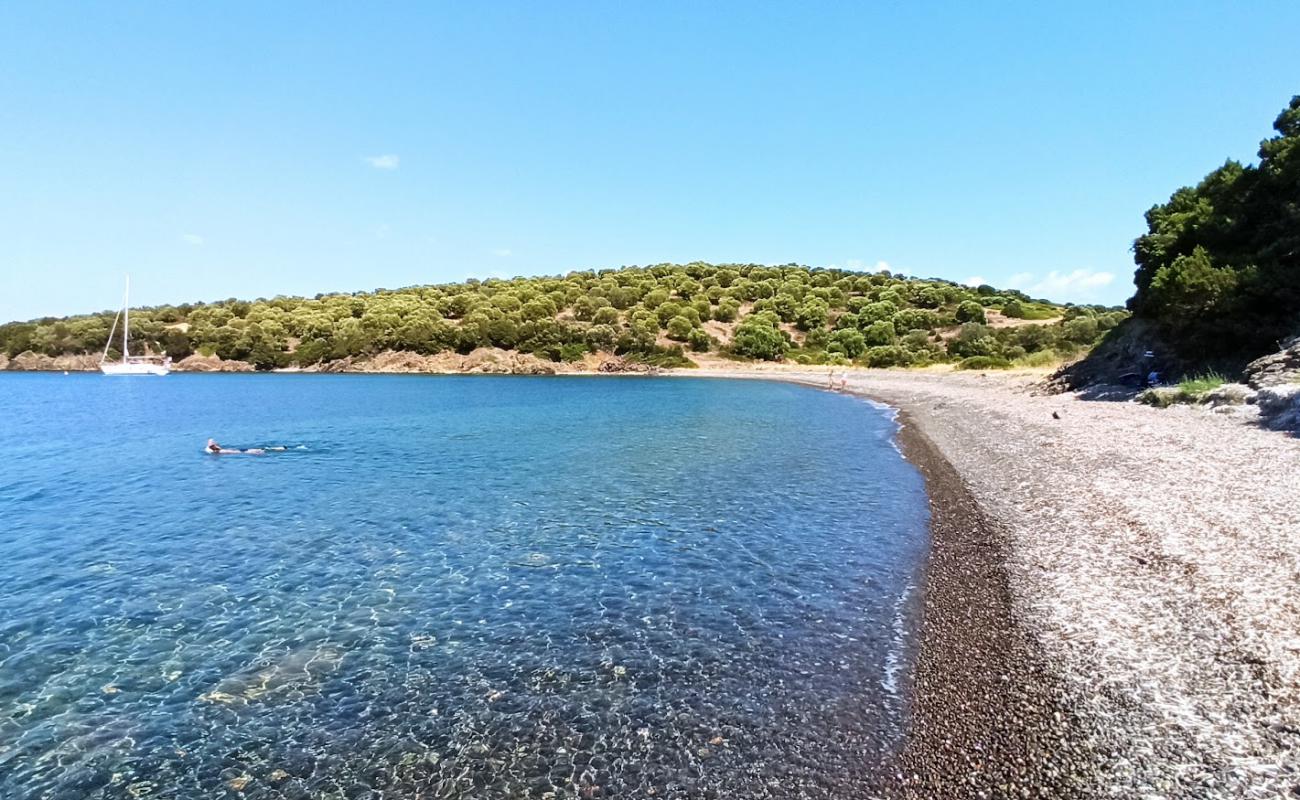 Ilia's Bay'in fotoğrafı hafif çakıl yüzey ile