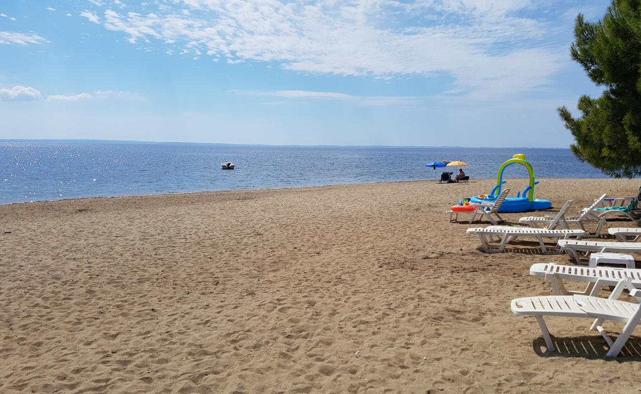 Psakudia beach'in fotoğrafı gri kum yüzey ile