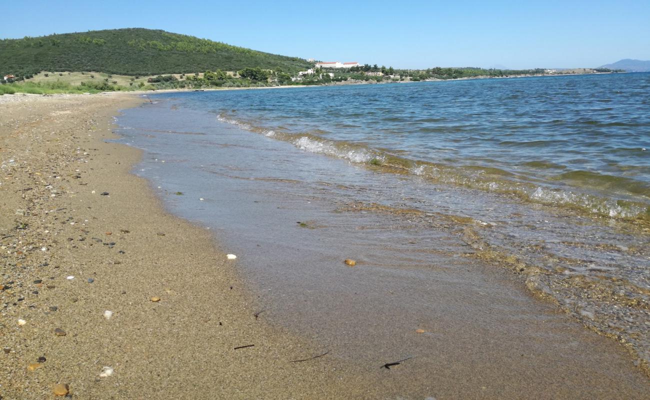 Vatopedi beach'in fotoğrafı parlak kum yüzey ile