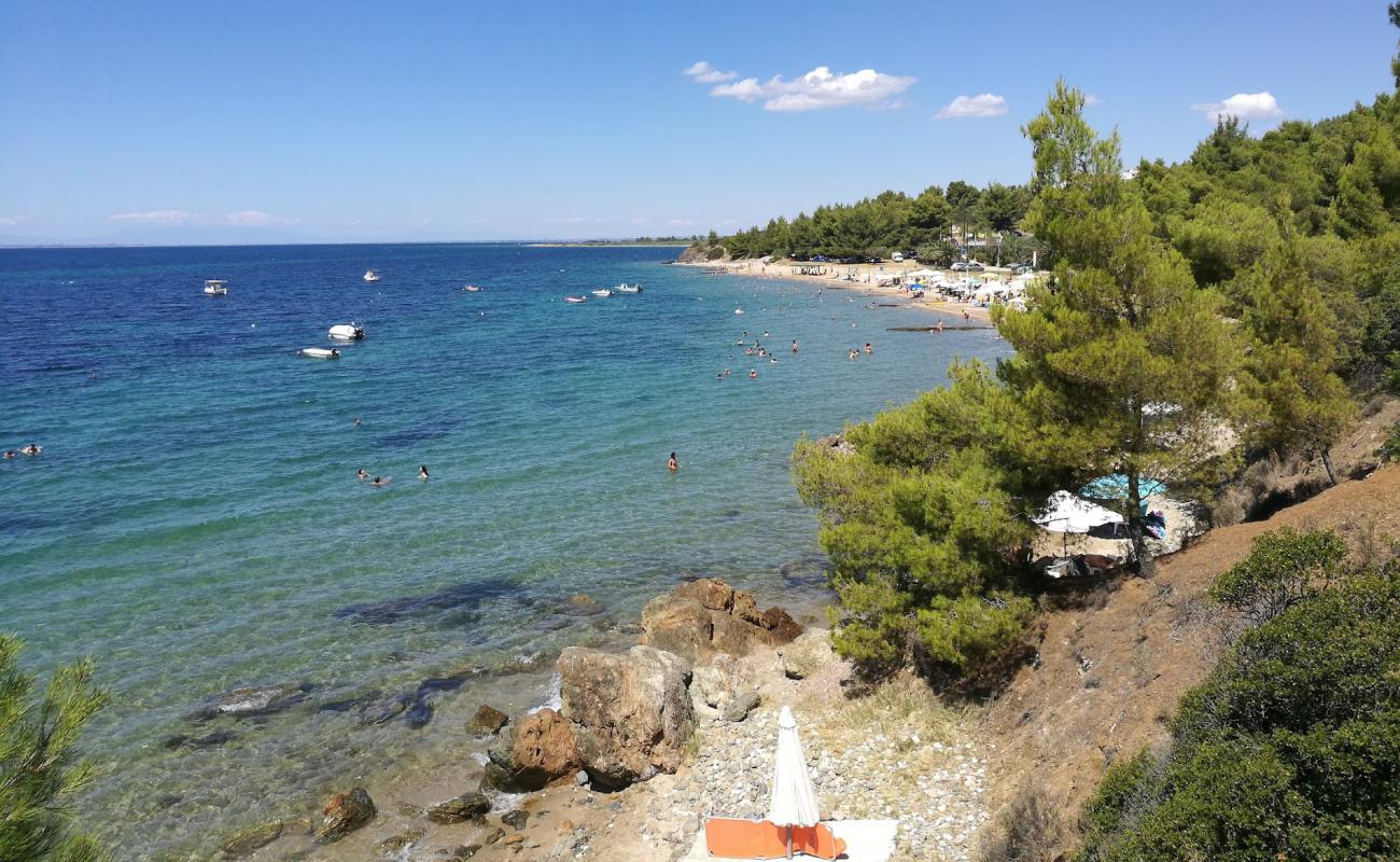 Happy Days beach'in fotoğrafı kahverengi kum yüzey ile