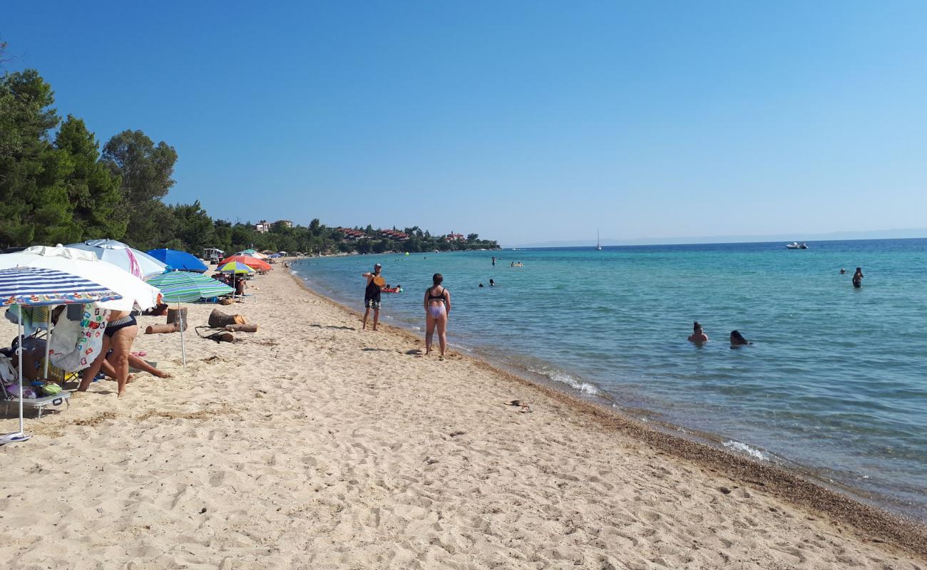 Nikiti beach'in fotoğrafı açık bej kum yüzey ile