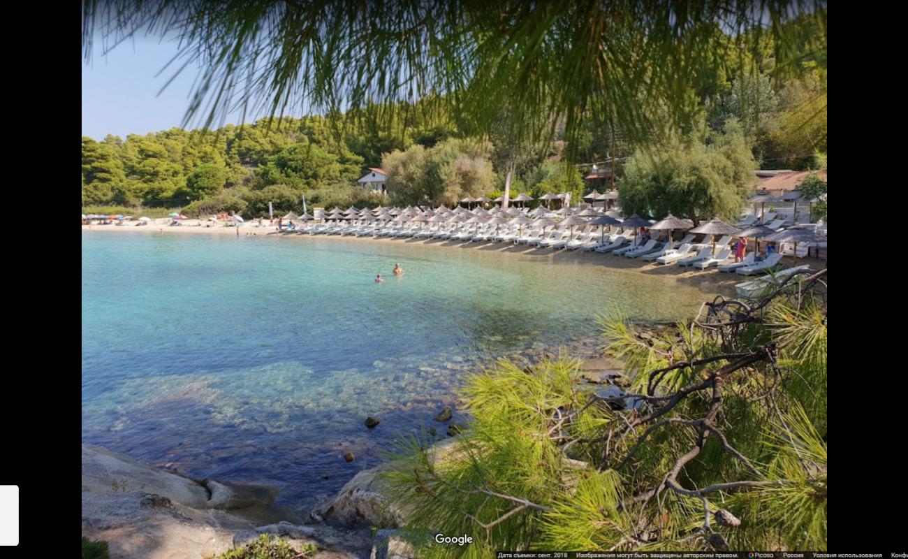 Kalogria beach'in fotoğrafı ve yerleşim