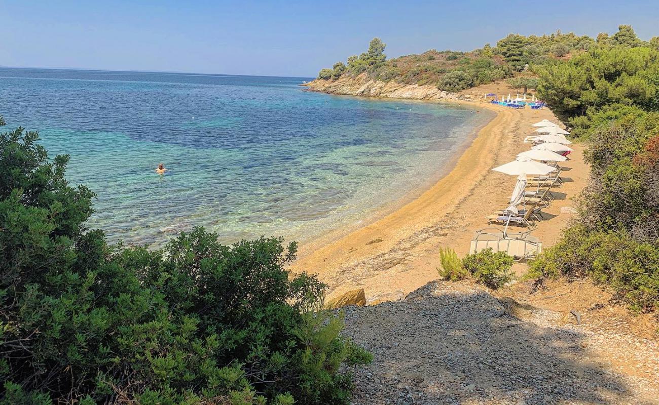 Little Olive beach'in fotoğrafı taşlı kum yüzey ile