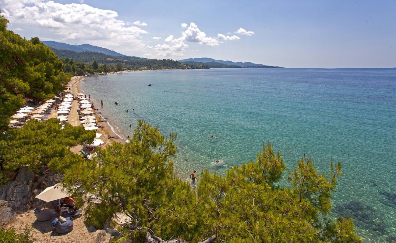 Nikitis beach'in fotoğrafı parlak ince kum yüzey ile