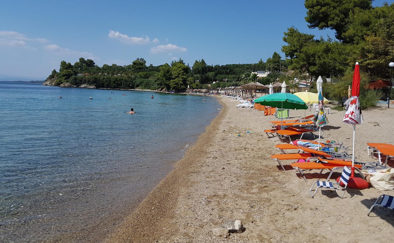 Paralia Paradisos'in fotoğrafı parlak kum yüzey ile