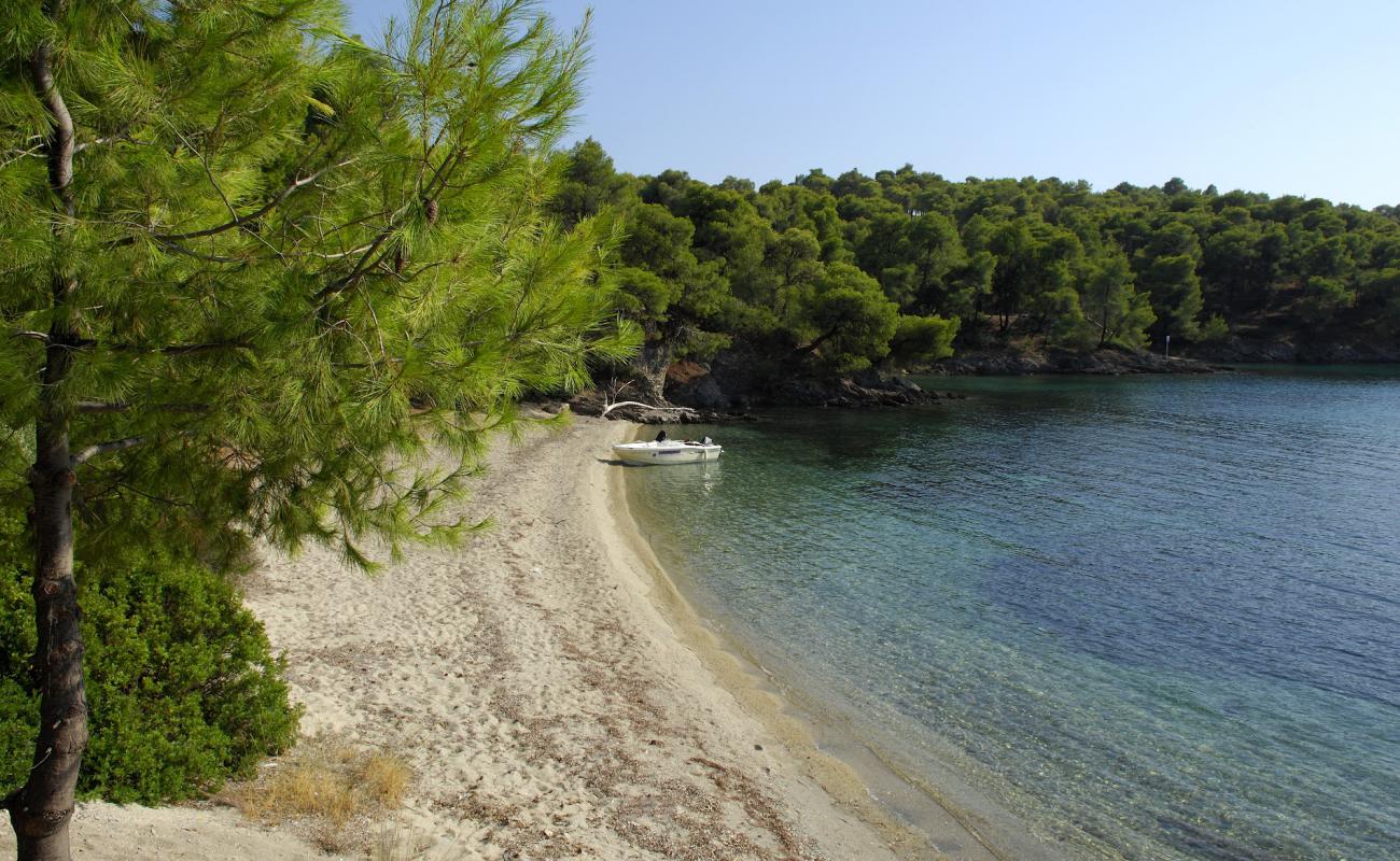 Kohi beach II'in fotoğrafı açık bej kum yüzey ile
