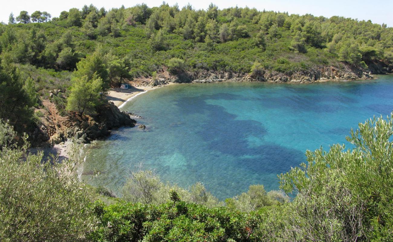 Koutsoupia beach II'in fotoğrafı siyah kum ve çakıl yüzey ile