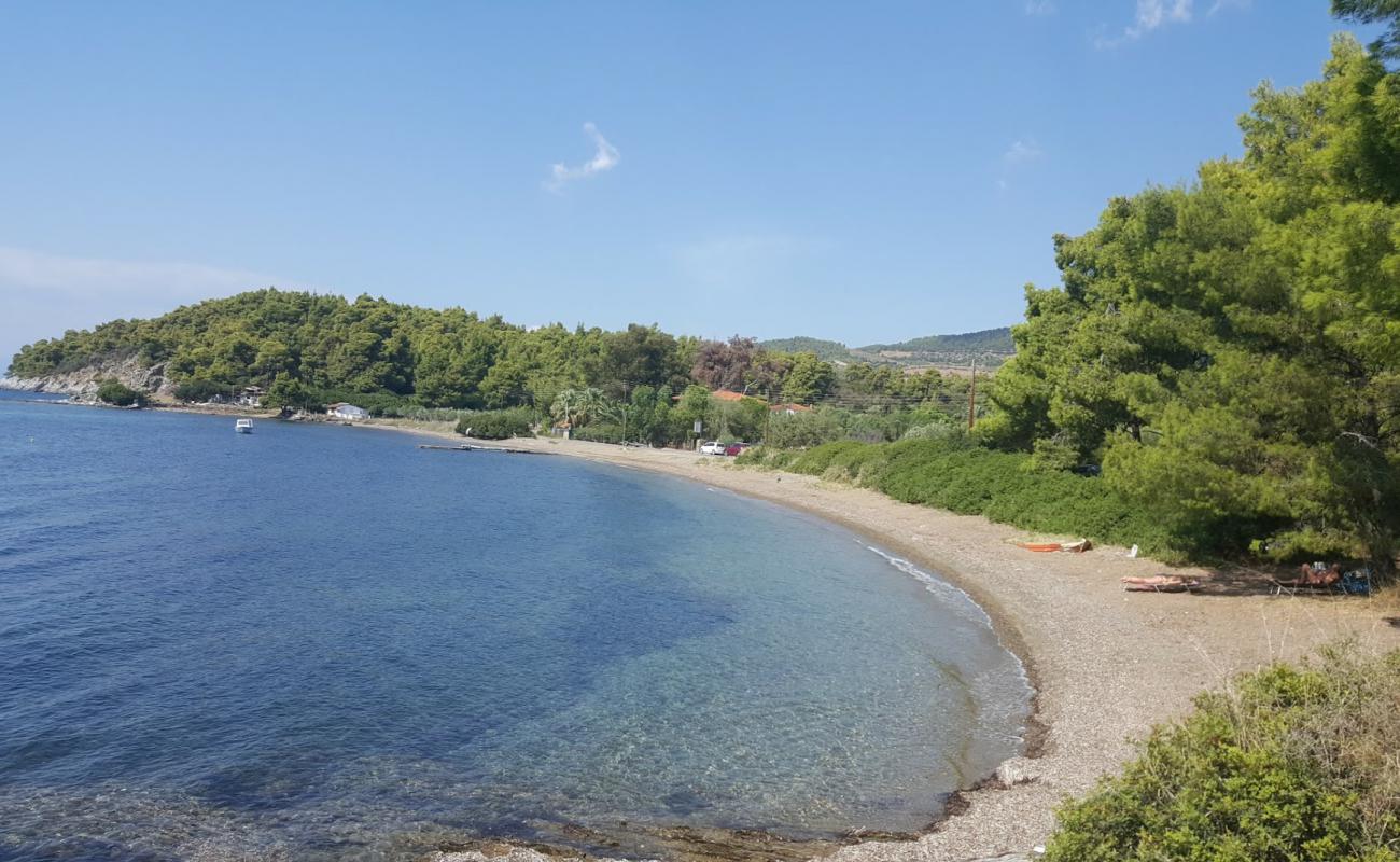 Koutsoupia beach'in fotoğrafı çakıl ile kum yüzey ile