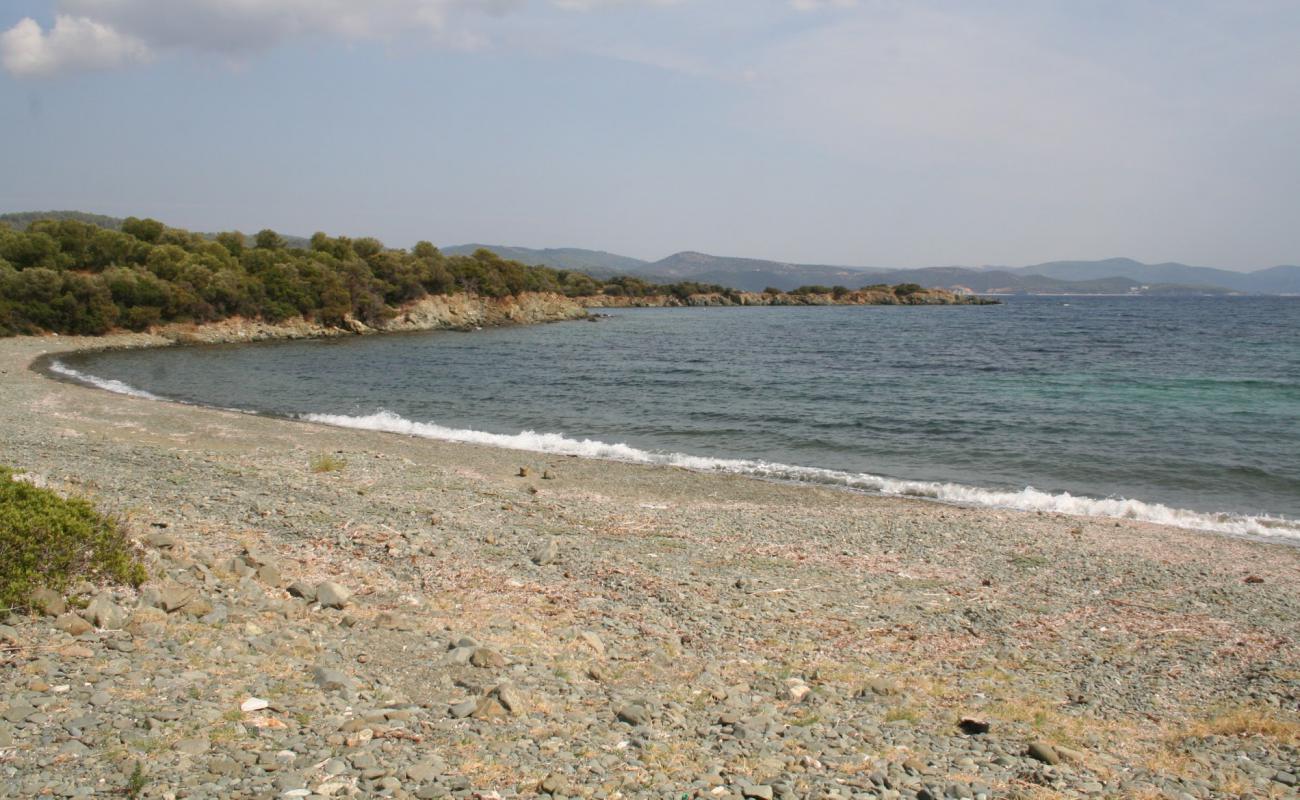 Diaporti beach II'in fotoğrafı siyah kum ve çakıl yüzey ile