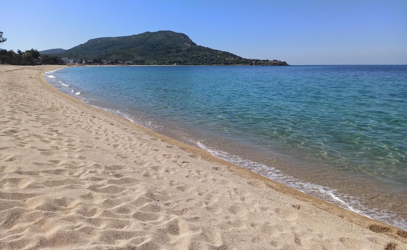 Paralia Toronis'in fotoğrafı i̇nce bej kum yüzey ile