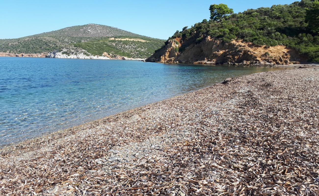 Secret beach'in fotoğrafı kahverengi çakıl yüzey ile