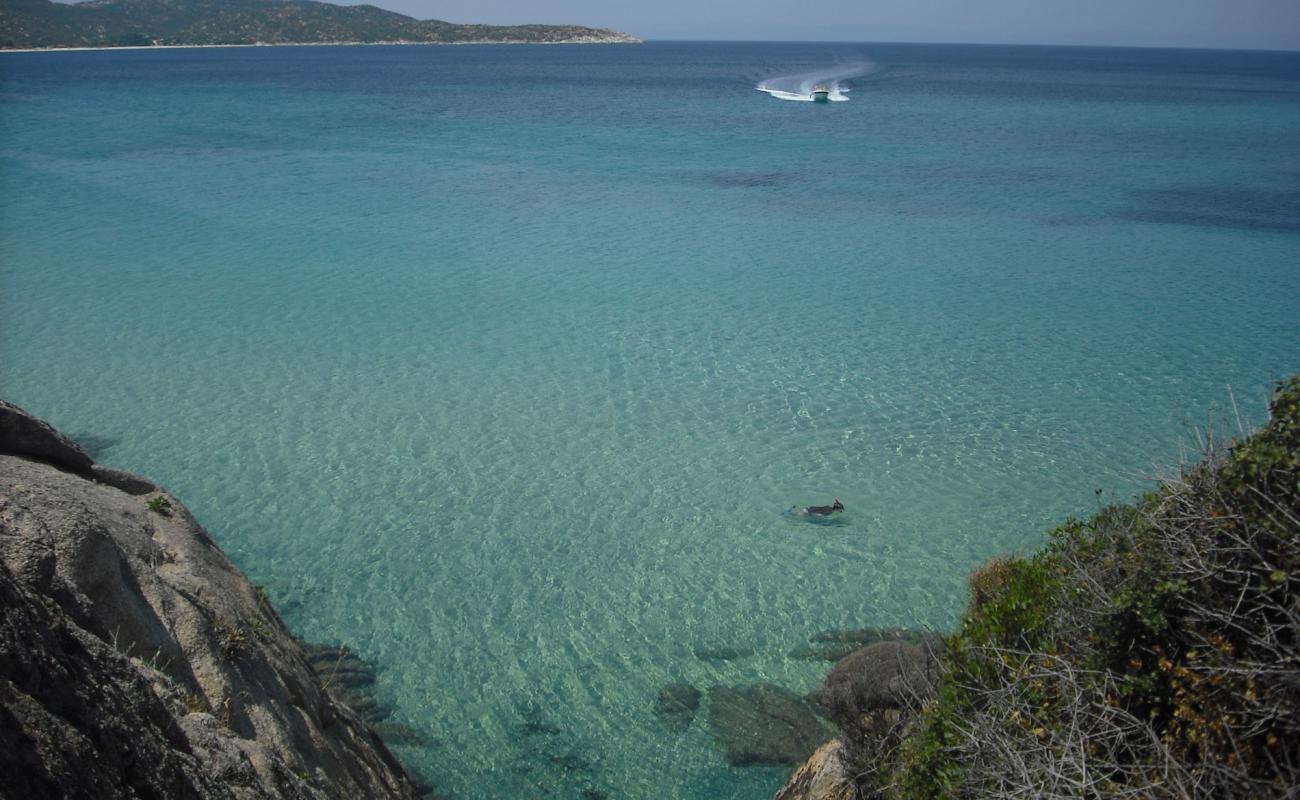 Sythonia wild beach IX'in fotoğrafı kısa, düz kıyı şeridi ile birlikte