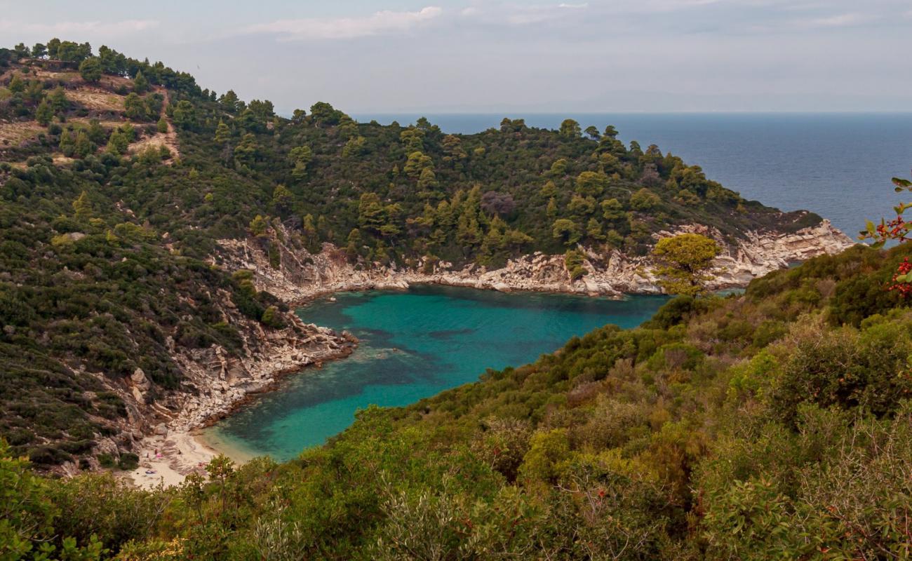 Sythonia wild beach X'in fotoğrafı açık bej kum yüzey ile