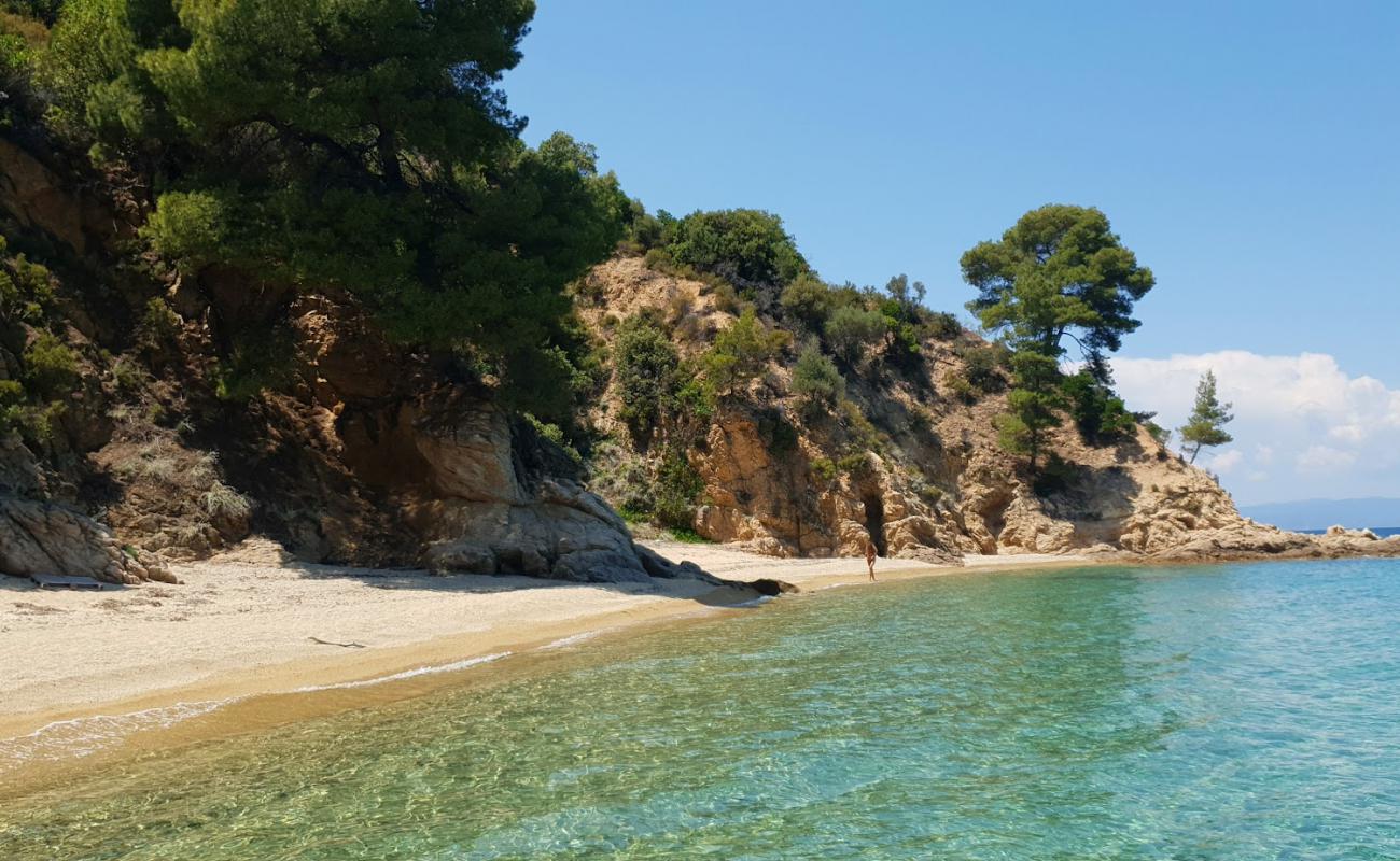 Robinson beach'in fotoğrafı açık bej kum yüzey ile