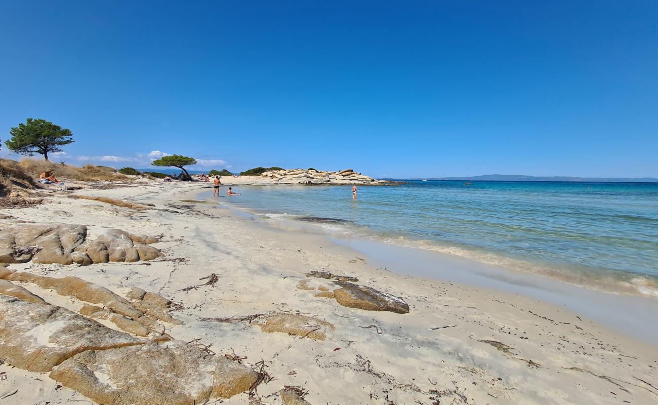 Karydi beach II'in fotoğrafı i̇nce bej kum yüzey ile